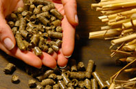 free Bumbles Green biomass boiler quotes